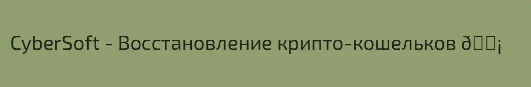 CyberSoft - Восстановление крипто-кошельков 💡